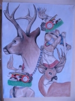 Native American Painting - Kyle L Navenma. "Deer Katsina.