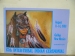 Gallup Inter-Tribal Indian Ceremonial Poster 67th, August 11-14, 1988