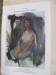American Indian Film Festival 1982