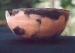Native American Prehistoric Item - Sinauga Bowl