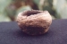 Native American Prehistoric Item - Mississippian Jar